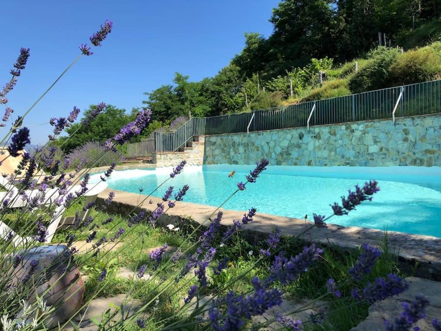 Podere Beatrice 20 Pax By Villasretreats Bardine di San Terenzo Esterno foto
